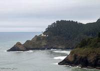 20251204-Heceta-Head-0009
