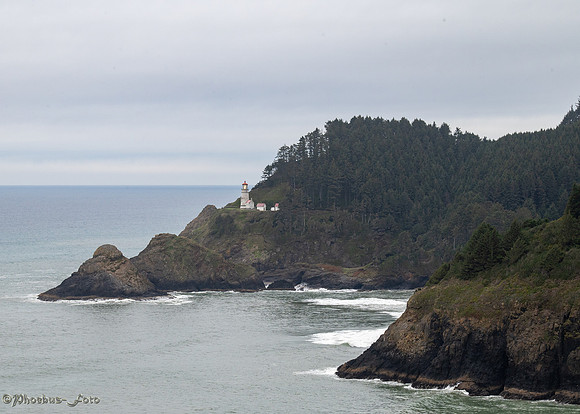20251204-Heceta-Head-0009