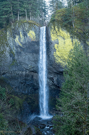20260115-Gorge-0022