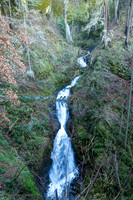20260115-Gorge-0025