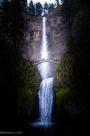 20260115-Gorge-0042