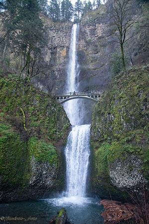 20260115-Gorge-0044