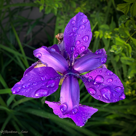 2026-Imperfect-0127