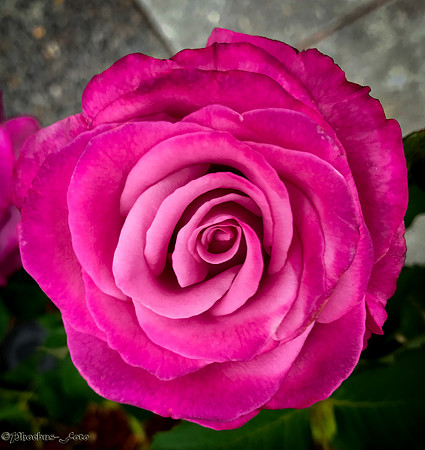 2026-Imperfect-0026