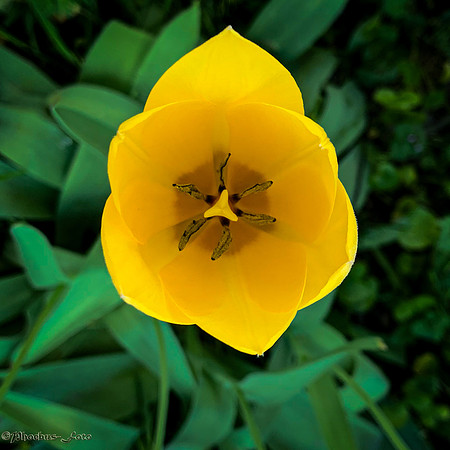 2026-Imperfect-0105