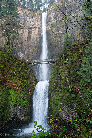 20201117-PNW-Icon-0001
