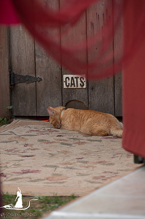 20150815-LBDF-1766