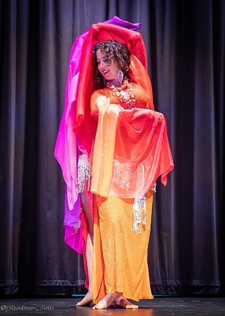 20260419-ADCSS-1-AWDC-0009
