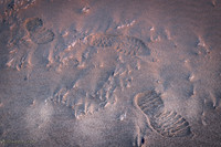 20260424-BT-Neskowin-Sand-0001