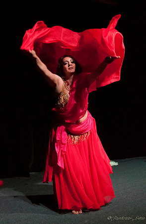 20140712-PVR-0506_filtered