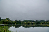 20260813-AD-0002