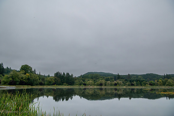 20260813-AD-0002