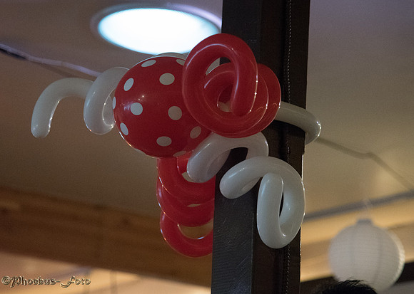 20151125-BCDR-0035