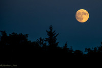 20250807-BR-Moon-Shot-0001