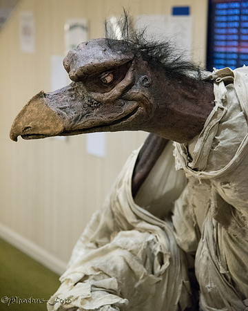 2015-Orycon-0268