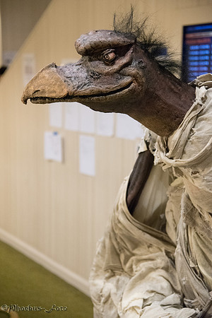 2015-Orycon-0269