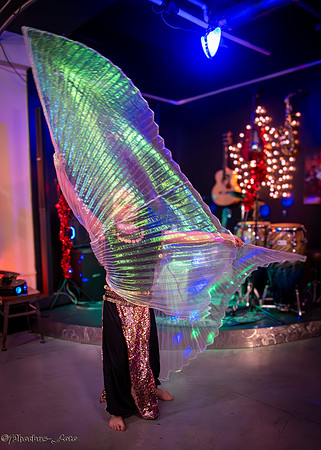 20241214-SSBD-Lilly-0017