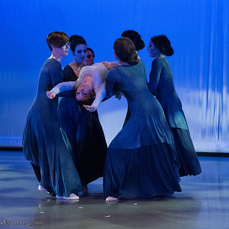 20170129-Allegro-0606