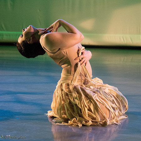 20170129-Allegro-0954