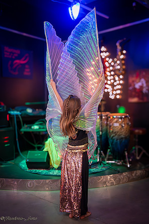 20241214-SSBD-Lilly-0001