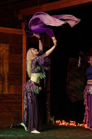 202311111-Wild-Lotus-0012