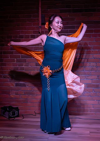 20250504-MEH-1-Silk-Shimmy-0011