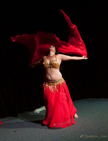 20140712-PVR-0558_filtered