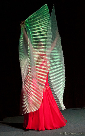 20140712-PVR-0410_filtered