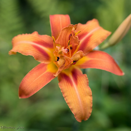 20170819-LBDF-0018