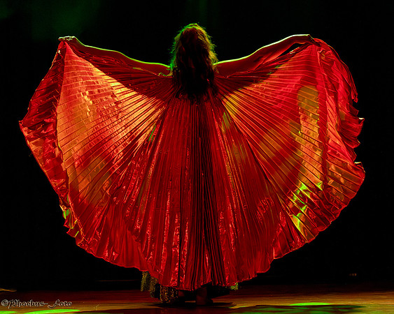 20240623-CR-Anhdine-0002